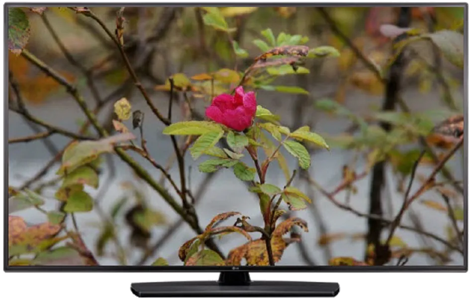 Замена шлейфа матрицы LG 55LV541